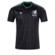Mexico third jersey 2026 world cup