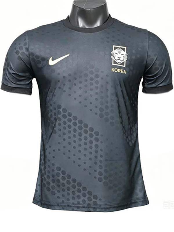 South korea special gray player jersey 2026 world cup